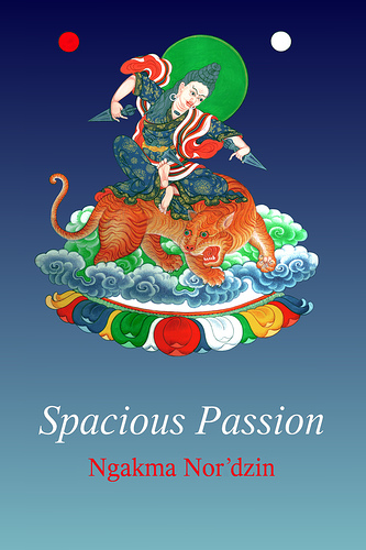 Spacious Passion Book cover