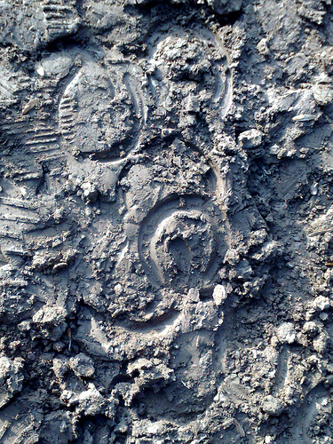 prints in mud